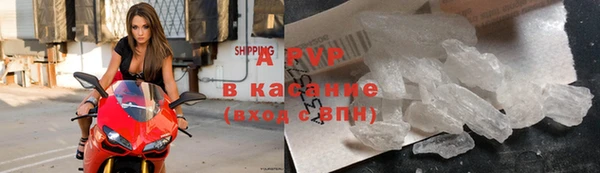 стафф Баксан