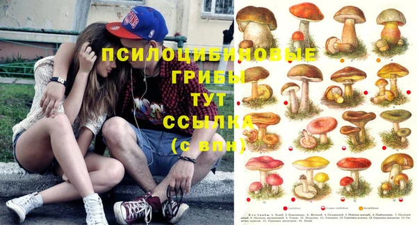 стафф Баксан