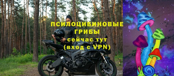 стафф Баксан