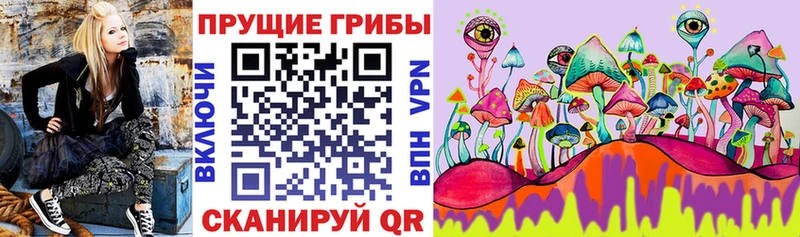 Галлюциногенные грибы Cubensis Улан-Удэ